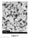 Fig. 06 - Long-chain dimethylaniline derivative compounds, their preparation methods, self-assembled textures, and uses thereof