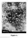 Fig. 07 - Long-chain dimethylaniline derivative compounds, their preparation methods, self-assembled textures, and uses thereof