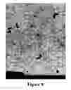 Fig. 09 - Long-chain dimethylaniline derivative compounds, their preparation methods, self-assembled textures, and uses thereof
