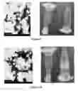 Fig. 10 - Long-chain dimethylaniline derivative compounds, their preparation methods, self-assembled textures, and uses thereof
