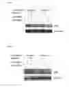 Fig. 06 - SYNTHESIS AND USE OF AMINO LIPIDS