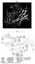 Fig. 02 - NOVEL COMPOUNDS AND METHODS OF TREATING OR AMELIORATING AN IL-1R-MEDIATED DISEASE OR DISORDER USING SAME