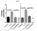 Fig. 06 - NOVEL COMPOUNDS AND METHODS OF TREATING OR AMELIORATING AN IL-1R-MEDIATED DISEASE OR DISORDER USING SAME