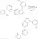 Fig. 232 - IRAK4 inhibiting agents