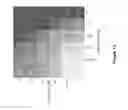 Fig. 13 - Chemical compounds
