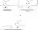 Fig. 45 - METHODS FOR THE SYNTHESIS OF SPHINGOMYELINS AND DIHYDROSPHINGOMYELINS