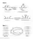 Fig. 02 - Cyclising peptides