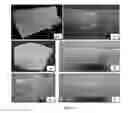 Fig. 04 - Process for extraction of fish collagen and formulations of 3D matrices of collagen for biomedical and therapeutic applications thereof