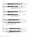 Fig. 08 - Selective recovery