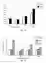 Fig. 13 - Bioactive Protein, Use Thereof and Method for its Production