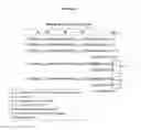 Fig. 06 - CHIMERIC POLYNUCLEOTIDES