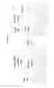 Fig. 20 - CHIMERIC POLYNUCLEOTIDES