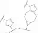Fig. 24 - CHIMERIC POLYNUCLEOTIDES