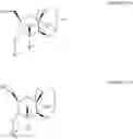 Fig. 40 - CHIMERIC POLYNUCLEOTIDES