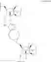 Fig. 52 - CHIMERIC POLYNUCLEOTIDES
