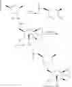Fig. 58 - CHIMERIC POLYNUCLEOTIDES