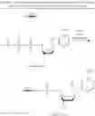 Fig. 61 - CHIMERIC POLYNUCLEOTIDES