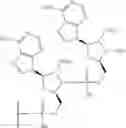 Fig. 76 - CHIMERIC POLYNUCLEOTIDES