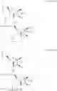 Fig. 77 - CHIMERIC POLYNUCLEOTIDES