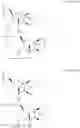 Fig. 80 - CHIMERIC POLYNUCLEOTIDES