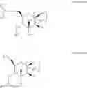 Fig. 82 - CHIMERIC POLYNUCLEOTIDES