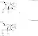 Fig. 86 - CHIMERIC POLYNUCLEOTIDES