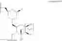 Fig. 89 - CHIMERIC POLYNUCLEOTIDES