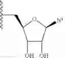 Fig. 92 - CHIMERIC POLYNUCLEOTIDES