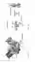 Fig. 02 - Therapy for filovirus infection