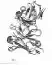 Fig. 06 - Therapy for filovirus infection
