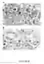 Fig. 09 - IMMUNOREACTIVE PROTEIN ORTHOLOGS OF EHRLICHIA CANIS AND E. CHAFFEENSIS