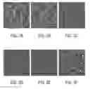 Fig. 03 - ANTIBODY BASED REAGENT THAT SPECIFICALLY RECOGNIZES TOXIC OLIGOMERIC FORM OF BETA-AMYLOID