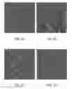 Fig. 04 - ANTIBODY BASED REAGENT THAT SPECIFICALLY RECOGNIZES TOXIC OLIGOMERIC FORM OF BETA-AMYLOID
