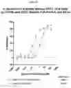 Fig. 19 - Molecules with specificity for CD79 and CD22