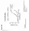Fig. 131 - Anti-CD3 antibodies and methods of use