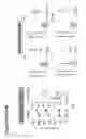 Fig. 149 - Anti-CD3 antibodies and methods of use