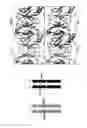 Fig. 08 - Modified antigen binding polypeptide constructs and uses thereof