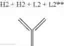 Fig. 149 - Modified antigen binding polypeptide constructs and uses thereof