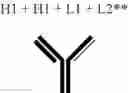 Fig. 201 - Modified antigen binding polypeptide constructs and uses thereof