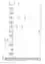 Fig. 22 - Modified antigen binding polypeptide constructs and uses thereof