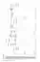 Fig. 23 - Modified antigen binding polypeptide constructs and uses thereof