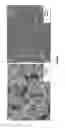 Fig. 02 - Thermal control coatings