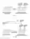 Fig. 10 - Cell rolling separation