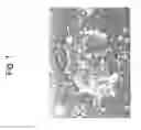 Fig. 02 - DERIVATION OF EMBRYONIC STEM CELLS
