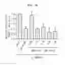 Fig. 04 - Method for secretion of extracellular vesicles from cells and tissues using shock wave