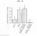Fig. 18 - Method for secretion of extracellular vesicles from cells and tissues using shock wave