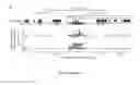 Fig. 04 - CRISPR/Cas transcriptional modulation