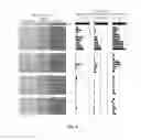 Fig. 07 - CRISPR/Cas transcriptional modulation