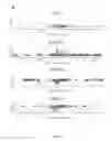 Fig. 35 - CRISPR/Cas transcriptional modulation