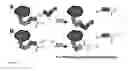 Fig. 02 - IN VIVO SITE-SPECIFIC PROTEIN TAGGING USING ENGINEERED SORTASE VARIANTS
